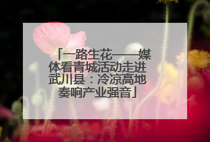 一路生花——媒体看青城活动走进武川县：冷凉高地奏响产业强音